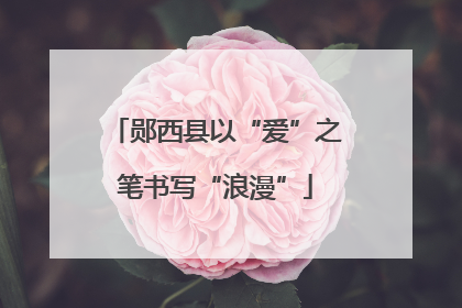 郧西县以“爱”之笔书写“浪漫”