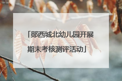 郧西城北幼儿园开展期末考核测评活动