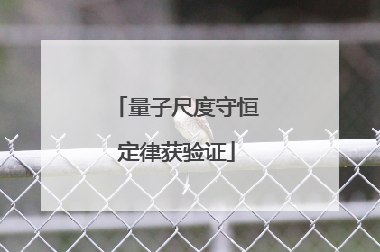 量子尺度守恒定律获验证