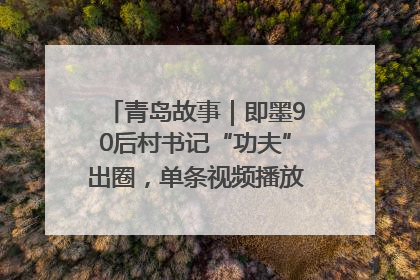 青岛故事｜即墨90后村书记“功夫”出圈，单条视频播放量过600万