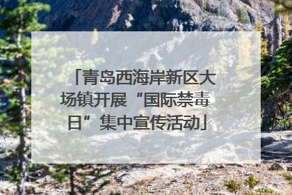青岛西海岸新区大场镇开展“国际禁毒日”集中宣传活动