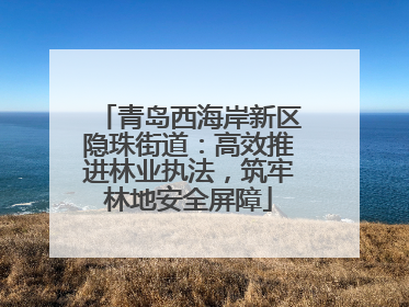 青岛西海岸新区隐珠街道：高效推进林业执法，筑牢林地安全屏障