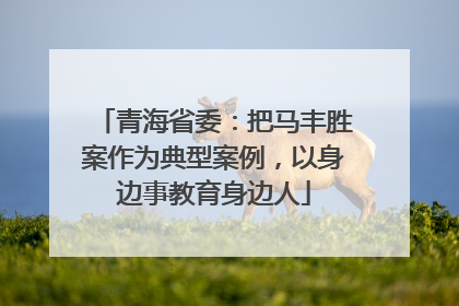 青海省委：把马丰胜案作为典型案例，以身边事教育身边人