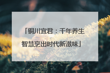 铜川宜君：千年养生智慧烹出时代新滋味