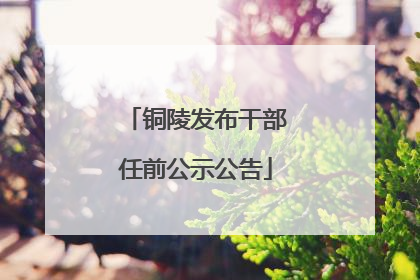 铜陵发布干部任前公示公告