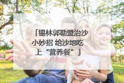 锡林郭勒盟治沙小妙招 给沙地吃上“营养餐”