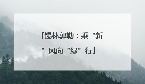 锡林郭勒：乘“新”风向“绿”行