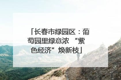 长春市绿园区：葡萄园里绿意浓 “紫色经济”焕新枝