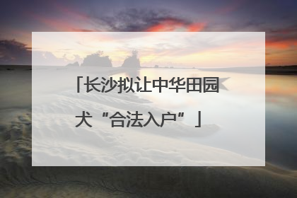 长沙拟让中华田园犬“合法入户”