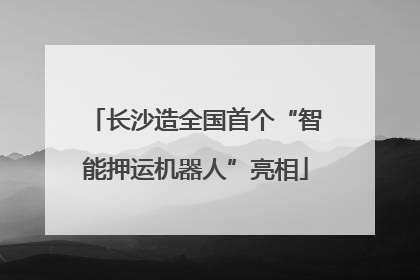 长沙造全国首个“智能押运机器人”亮相