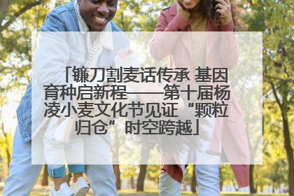 镰刀割麦话传承 基因育种启新程——第十届杨凌小麦文化节见证“颗粒归仓”时空跨越