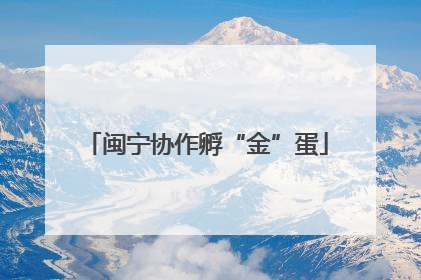 闽宁协作孵“金”蛋