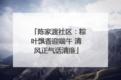陈家渡社区：粽叶飘香迎端午 清风正气话清廉