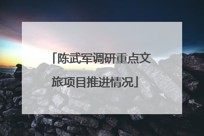 陈武军调研重点文旅项目推进情况