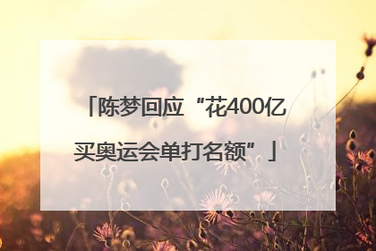 陈梦回应“花400亿买奥运会单打名额”