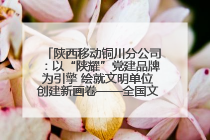 陕西移动铜川分公司：以“陕耀”党建品牌为引擎 绘就文明单位创建新画卷——全国文明单位创建纪实