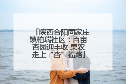 陕西合阳同家庄镇柏瑞社区：百亩杏园迎丰收 果农走上“杏”福路