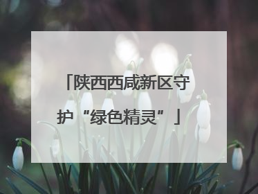 陕西西咸新区守护“绿色精灵”