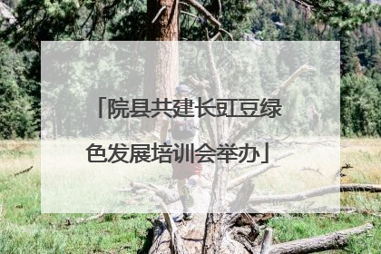 院县共建长豇豆绿色发展培训会举办