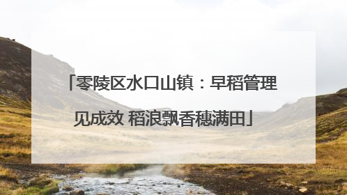 零陵区水口山镇：早稻管理见成效 稻浪飘香穗满田