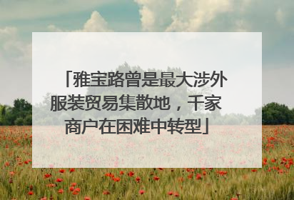 雅宝路曾是最大涉外服装贸易集散地，千家商户在困难中转型