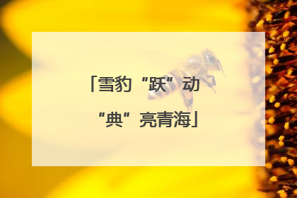 雪豹“跃”动 “典”亮青海