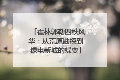 霍林郭勒四秩风华：从荒原勘探到绿电新城的蝶变