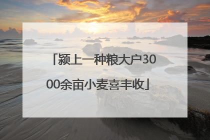 颍上一种粮大户3000余亩小麦喜丰收