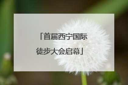 首届西宁国际徒步大会启幕