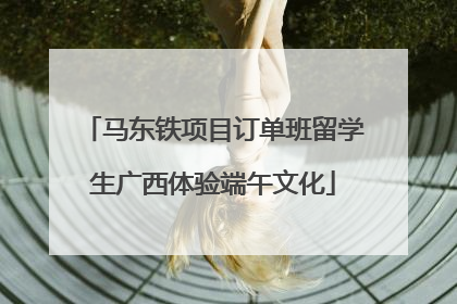 马东铁项目订单班留学生广西体验端午文化