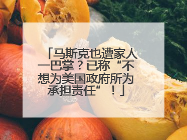 马斯克也遭家人一巴掌？已称“不想为美国政府所为承担责任”！