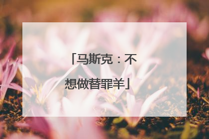 马斯克：不想做替罪羊