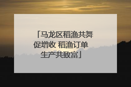 马龙区稻渔共舞促增收 稻渔订单生产共致富