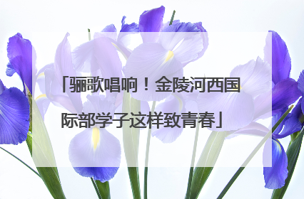 骊歌唱响！金陵河西国际部学子这样致青春