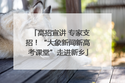 高招宣讲 专家支招！“大象新闻新高考课堂”走进新乡