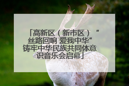 高新区（新市区）“丝路回响 爱我中华”铸牢中华民族共同体意识音乐会启幕