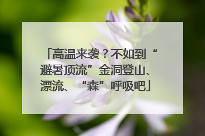 高温来袭？不如到“避暑顶流”金洞登山、漂流、“森”呼吸吧