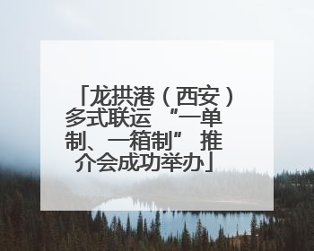 龙拱港（西安）多式联运 “一单制、一箱制” 推介会成功举办