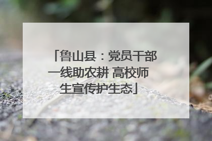 鲁山县：党员干部一线助农耕 高校师生宣传护生态