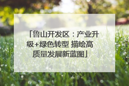 鲁山开发区：产业升级+绿色转型 描绘高质量发展新蓝图