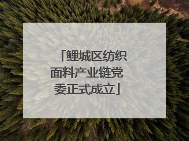 鲤城区纺织面料产业链党委正式成立