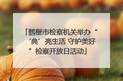 鹤壁市检察机关举办“‘典’亮生活 守护美好”检察开放日活动