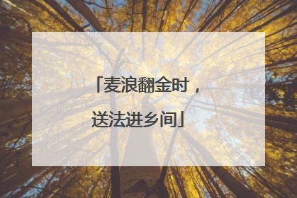 麦浪翻金时，送法进乡间