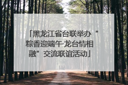 黑龙江省台联举办“粽香迎端午·龙台情相融”交流联谊活动