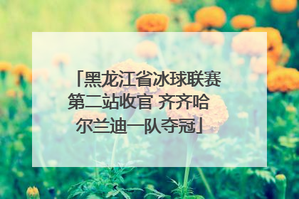 黑龙江省冰球联赛第二站收官 齐齐哈尔兰迪一队夺冠
