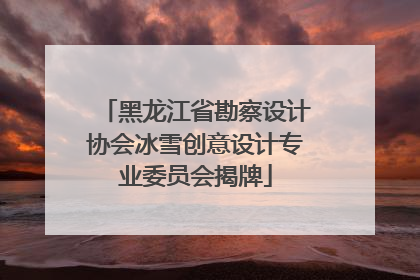黑龙江省勘察设计协会冰雪创意设计专业委员会揭牌