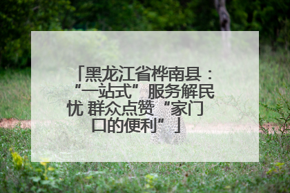 黑龙江省桦南县：“一站式”服务解民忧 群众点赞“家门口的便利”
