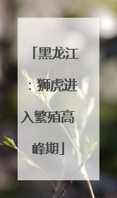 黑龙江：狮虎进入繁殖高峰期