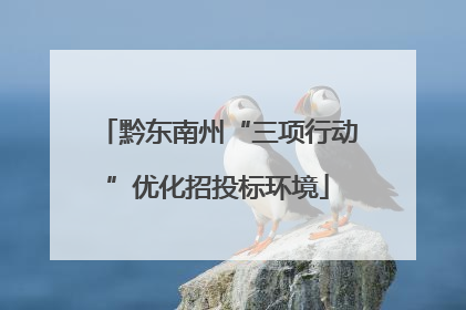 黔东南州“三项行动”优化招投标环境