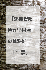 黟县碧阳镇五里村盛夏桃熟好“丰”景